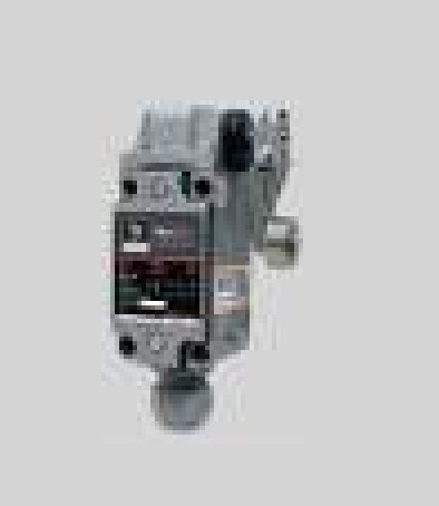 BCH BALRL38 BRAVO Aluminium Heavy Duty Limit Switch - Roller Lever 38 mm (IP67)
