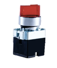 BCH BML22LSM2 LED luminous 2-position maintained selector switch actuator with illuminated positions