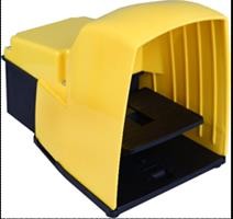 BCH BSG2P Heavy Duty Foot Switch — front view — BCH — Foot Switches