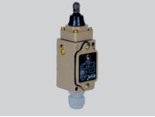 BCH NLTPR Heavy Duty Limit Switch NL - Top Push Roller (IP67)
