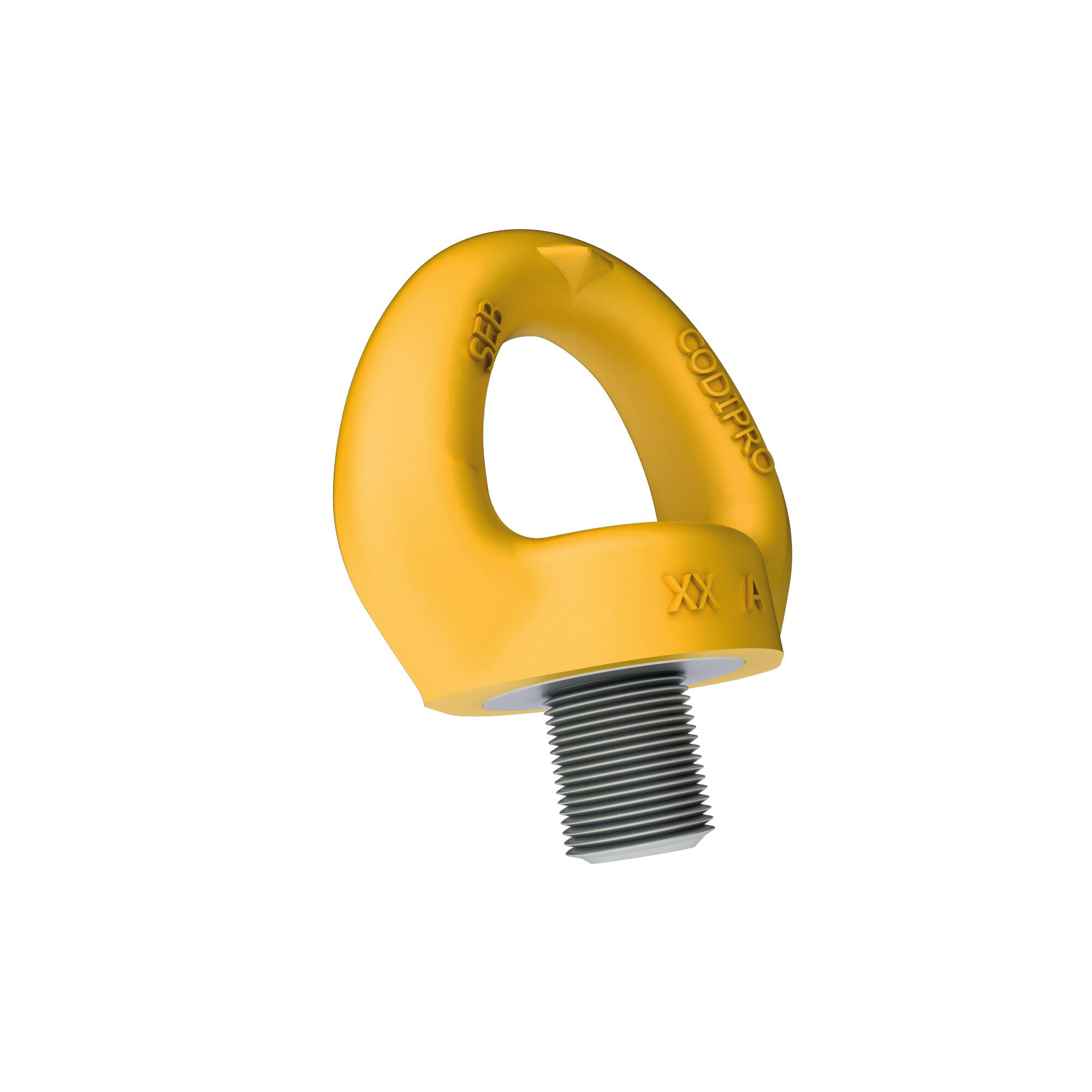 CODIPRO PE.SEB Fall Protection Anchor Point (zinc-plated steel, M12-M20, 1 or 2 persons) - lifting point Saudi Arabia - view 
